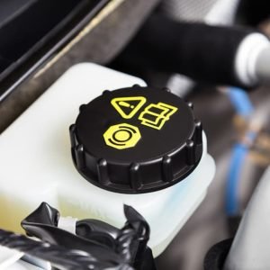 Transmission Fluid